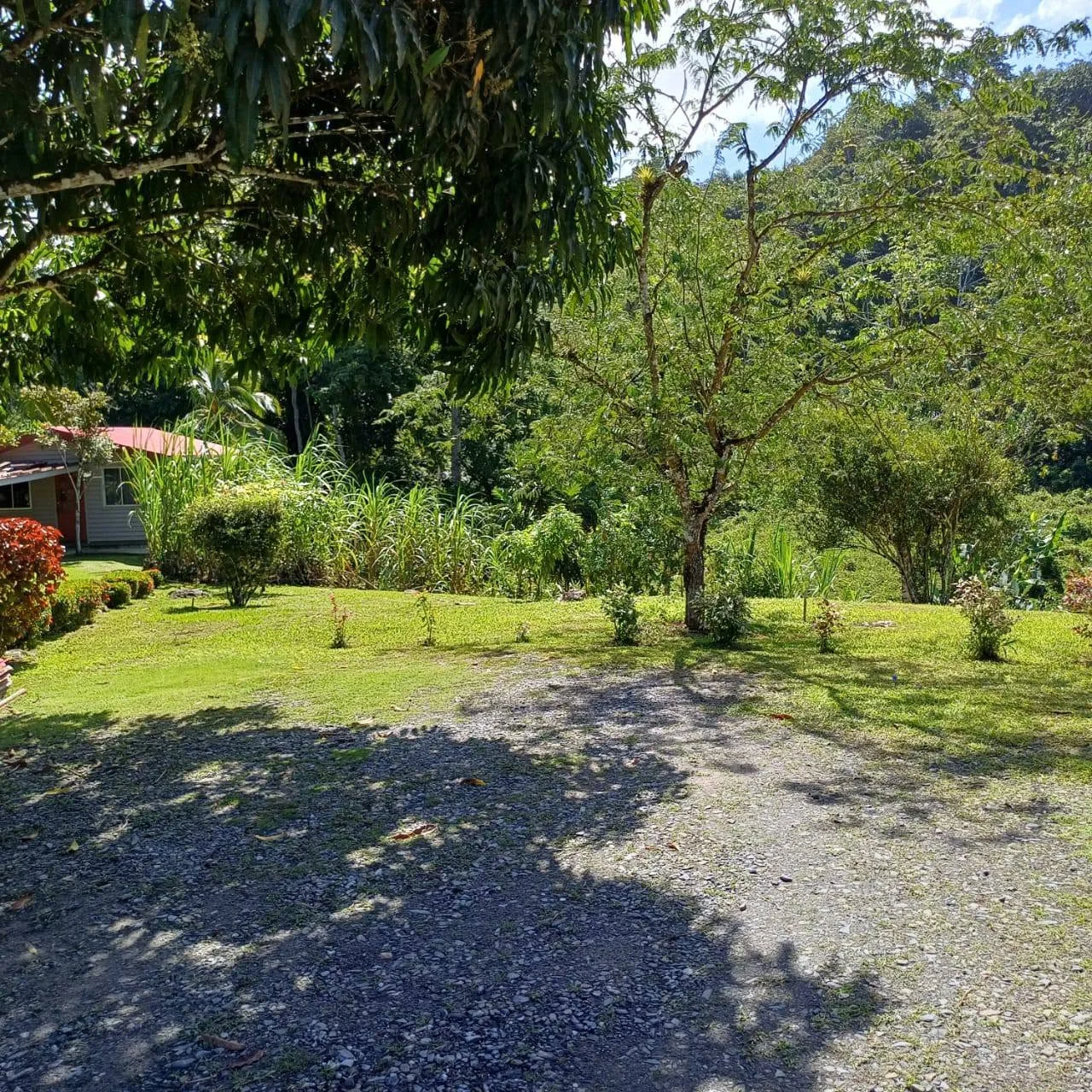 Tropical greenery and open grounds at North Stay